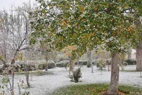 ویدئو| اولین برف پاییزی اردبیل