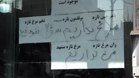 مرغ دوباره از مشهد پر کشید | مثل همیشه باید به مردم بگوییم که چند روزی مرغ نخورید! + فیلم