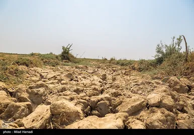 رهاسازی آب سد کرخه، از سوسنگرد تا هورالعظیم