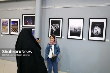 گزارش تصویری | هشتمین اکسپوی سراسری عکس همدم