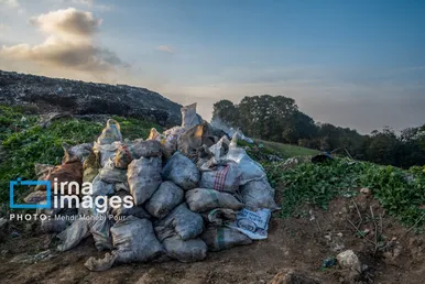 گزارش تصویری | مرگ خاموش جنگل‌های مازندران زیر آوار زباله‌های ناخوانده