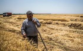 بحران و کمبود آب، قیمت مواد غذایی را گران می&zwnj;کند؟