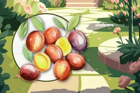 دانستنی&zwnj;هایی برای کودکان | عناب؛ میوه&zwnj;ی شگفت&zwnj;انگیز