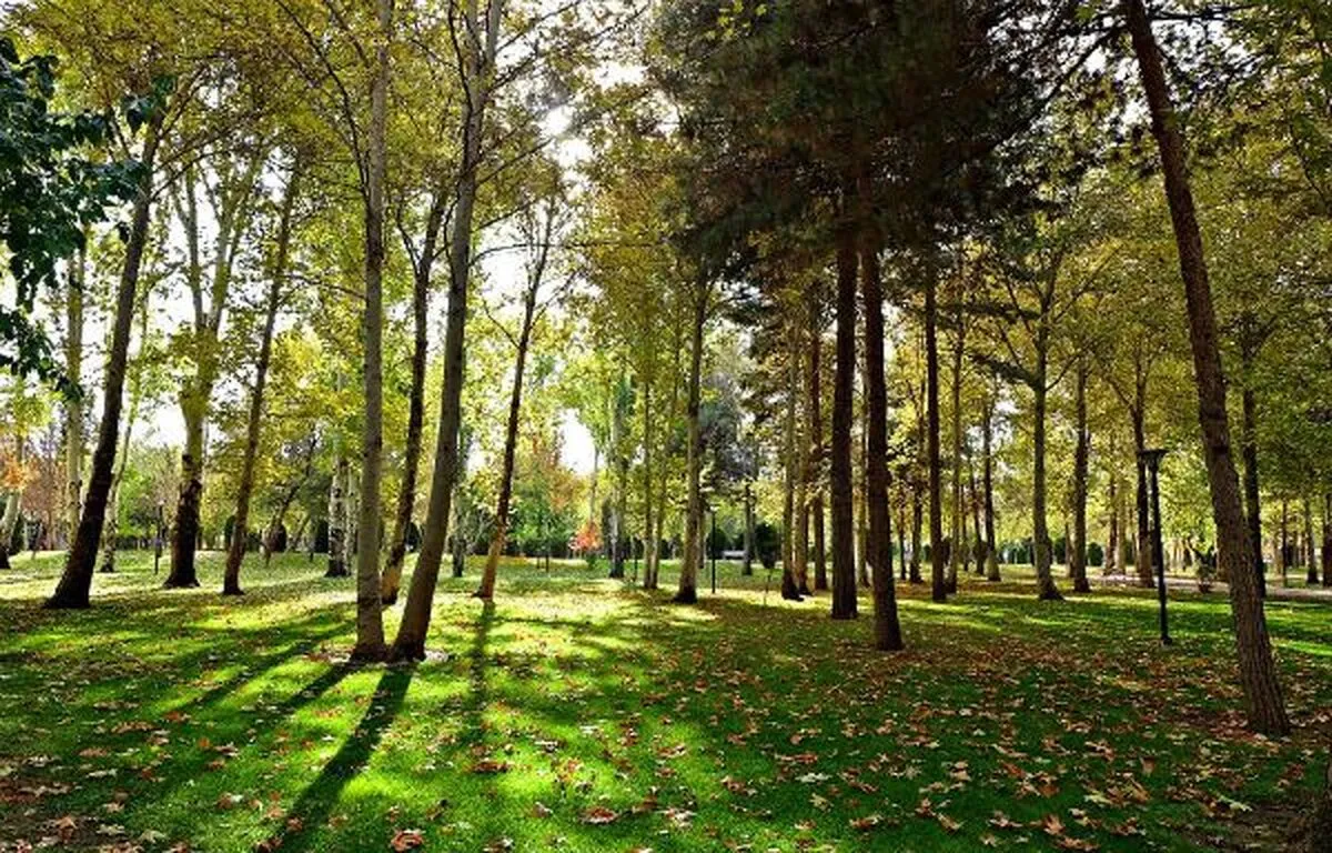 هم افزایی و مدیریت یکپارچه در زمینه محیط‌زیست در مشهد الگویی برای شهر‌های کشور است