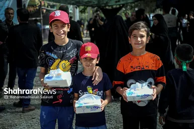 زائران پیاده امام رضا (ع)