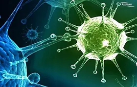لغو برنامه&zwnj;های مختلف در مشهد برای پیشگیری از ابتلای به کرونا