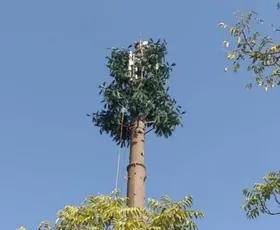 نصب دومین دکل درختی مخابراتی در مشهد