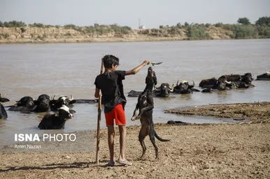 منطقه گاومیش آباد در اهواز