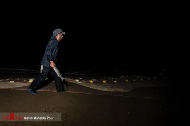 آغاز فصل صید ماهی استخوانی در مازندران