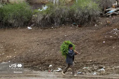 پدر، جانِ زندگی