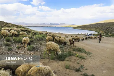 ایران زیباست | طبیعت بهاری شهر «لاله زار» کرمان