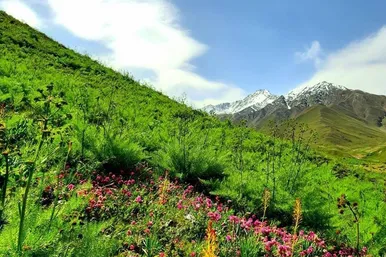 عکس‌هایی از «دشت حرم» در ولایت بدخشان افغانستان