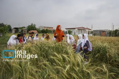 گزارش تصویری | تحصیل در باغ خانه معلم