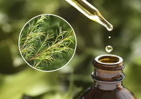 با خواص شگفت&zwnj;انگیز یک روغن گیاهی برای پوست، مو و ناخن آشنا شوید