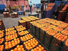 زمان توزیع میوه شب عید اعلام شد + جزئیات