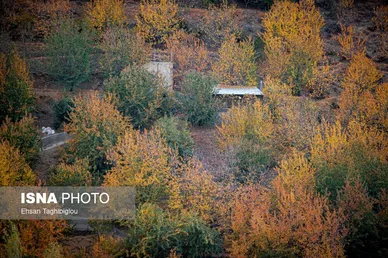 ایران زیباست | پاییزِ هزاررنگ در روستای شیت - طارم