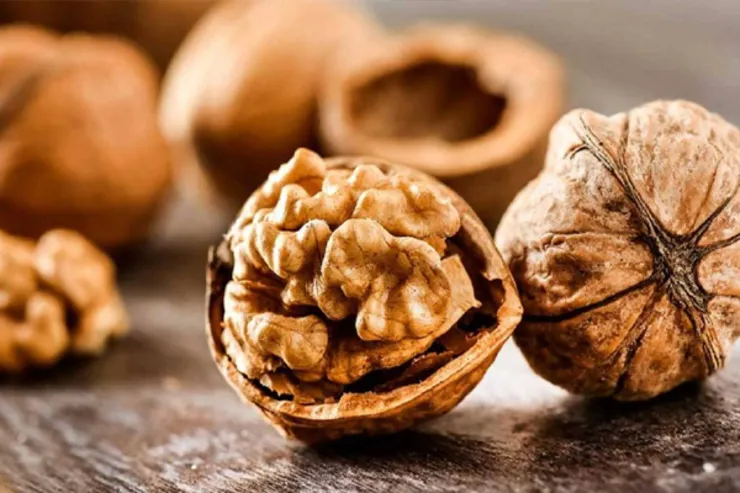 کلسترول خون را با روغن گردو کم کنید