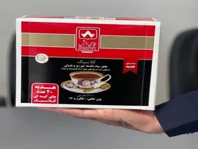اهدای نشان فداکاری از سوی رهبر معظم انقلاب به خانواده ۵ شهید هرمزگانی