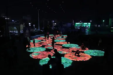 مراسم افتتاحیه اولین جشنواره هنرهای نوری ایران