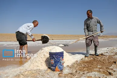 گزارش تصویری | برداشت نمک در دل کویر