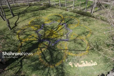 گزارش تصویری | المان های گل در نوروز ۱۴۰۴ مشهد