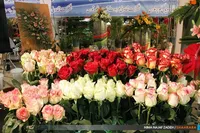 نمایشگاه گل و گیاه مشهد، برند فضای سبز این شهر است | فعالیت ۵۰۰ غرفه‌دار از سراسر کشور