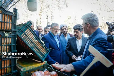 گزارش تصویری | بازدید سرزده فرماندار و شهردار مشهد از ۱۰ مرکز عرضه مستقیم کالا‌های اساسی