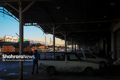 خسارت شدید سرما به بازار میوه و تره بار مشهد