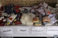 پلیس مبارزه با مواد مخدر ۳۳ کیلوگرم موادمخدر و روانگردان را در پایتخت کشف کرد