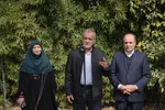 پزشکیان: با کاشت درخت، اجازه ندهیم وضعیت زیستی کشور بیش از این تخریب شود