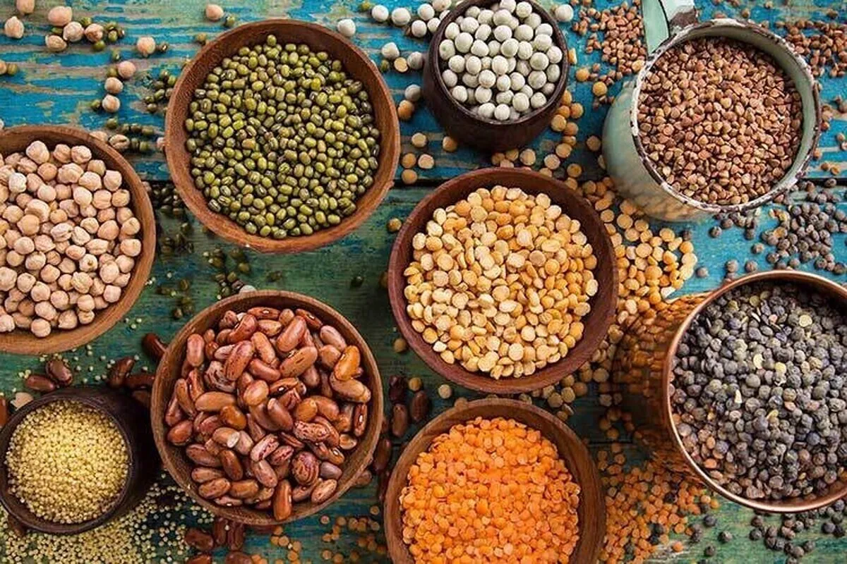 ابلاغ تعرفه صفر برای واردات حبوبات و گندم از اتحادیه اوراسیا
