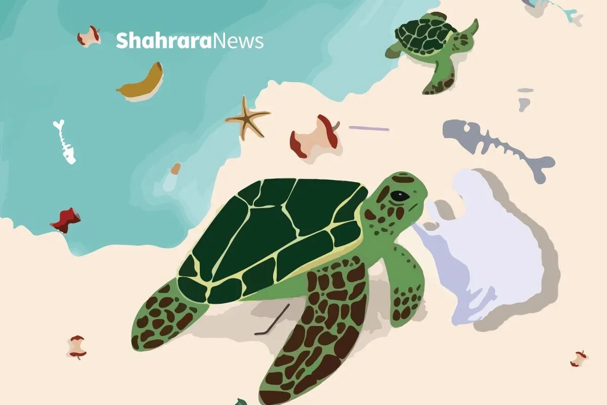 دانستنی‌های نوجوان | اثر پروانه‌ای
