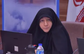 مدیریت آسیب&zwnj;های اجتماعی هم&zwnj;افزایی می&zwnj;خواهد