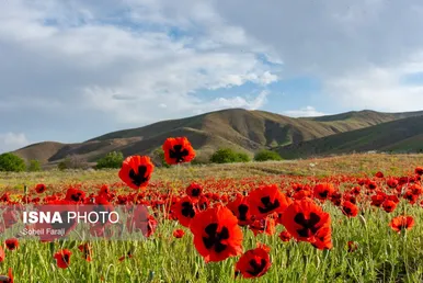 ایران زیباست | طبیعت هزار رنگ جلگه ارومیه
