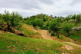 آغاز برنامه&zwnj;های عملیاتی برای بازگشت مناطق طبیعی تصرف شده خوزستان به بیت&zwnj;المال (۶ دی ۱۴۰۴)