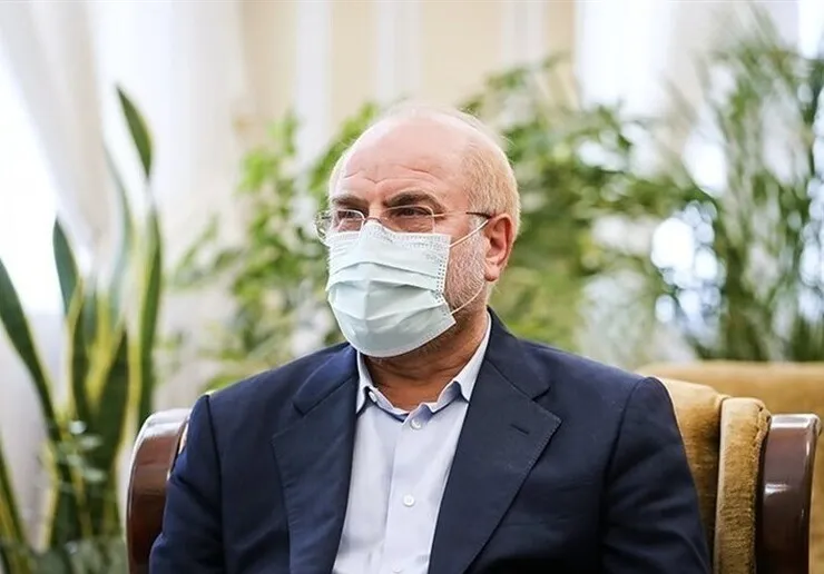 قالیباف: نگاه ایران به موضوع آب جنبه امنیت ملی دارد|مجلس به کمک وزارت خارجه حق‌آبه‌های کشور را پیگیری می‌کند