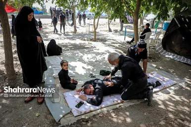 زائران پیاده امام رضا (ع)
