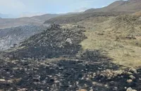 حدود ۱۰ هکتار از مراتع بام ایران در آتش سوخت