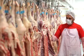 ۲ کشتارگاه در مشهد طی روز&zwnj;های تعطیل آماده&zwnj;باش هستند