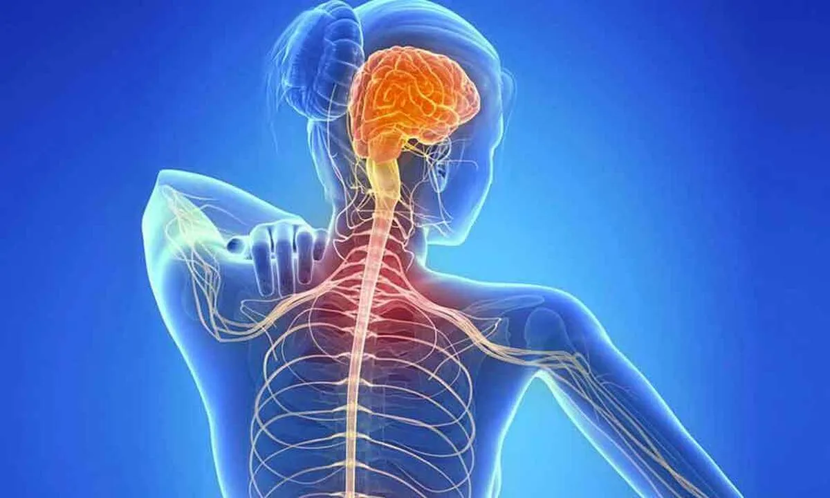 هشدار یک پزشک: ابتلای زنان به «ام‌اس» ۴ برابر مردان است