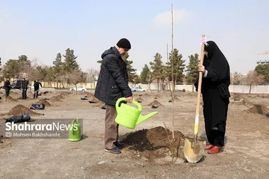 پویش سراسری درخت‌کاری در بوستان جهانشهر