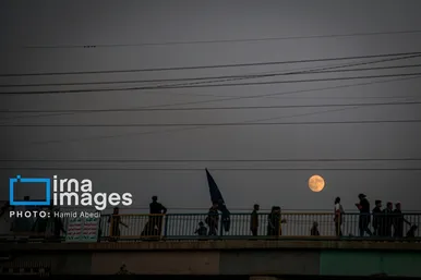 مسیر عاشقی | پیاده‌روی اربعین- مسیر «دیوانیه»