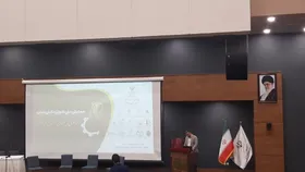 فعالیت حدود ۳ هزار نفر از بانوان در شرکت&zwnj;های دانش&zwnj;بنیان خراسان رضوی