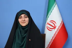 بهروزآذر: لایحه منع خشونت علیه زنان تصویب می&zwnj;شود | شکسته شدن رکورد حضور زنان در دولت چهاردهم