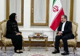 عراقچی بر همکاری با نهاد&zwnj;های وابسته به سازمان ملل تاکید کرد