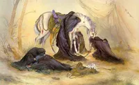 انتقال پیام اصلی نهضت حسینی به جامعه توسط حضرت زینب (س) صورت پذیرفت