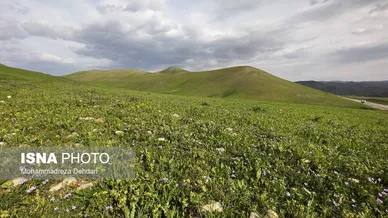 ایران زیباست | زمستان بَهاری در فارس