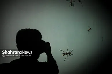 نمایشگاه ویدئوآرت «از دست دادن»