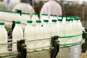 افزایش قیمت لبنیات؛ شیر و لبنیات از قیمت&zwnj;گذاری دستوری خارج شد