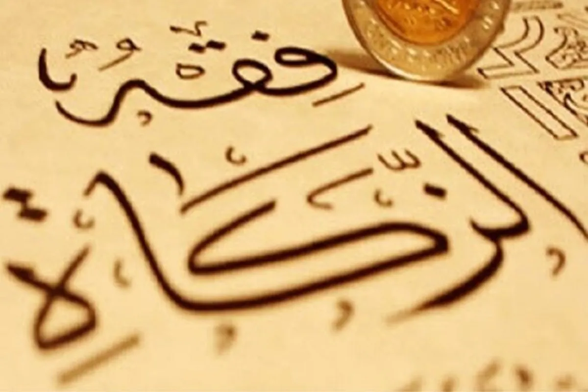 چه کسی باید زکات بدهد؟ | ۵ شرط مهم برای وجوب زکات